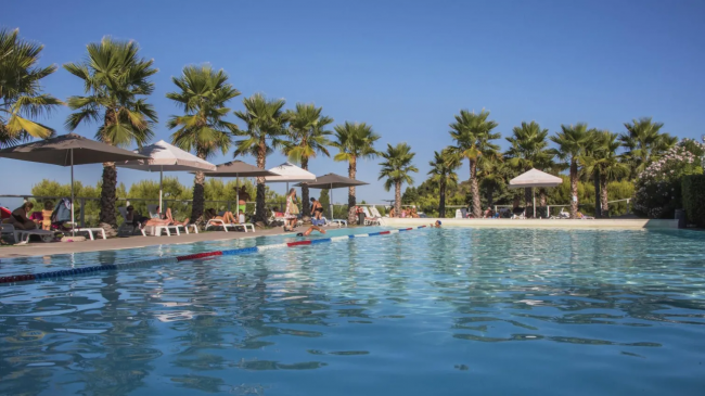 Piscina all'aperto circondata da palme e ombrelloni, persone che nuotano e si rilassano.
