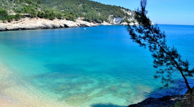 Baia con acqua turchese e alberi sulla riva.