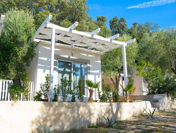 Una veranda bianca con piante e piccole palme.