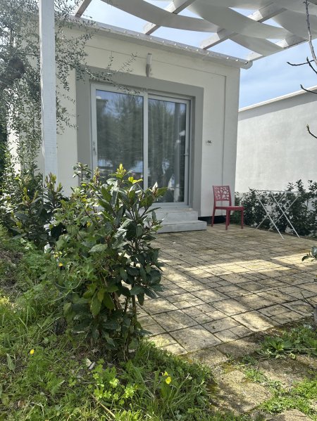 Esterno con patio pavimentato e piante.