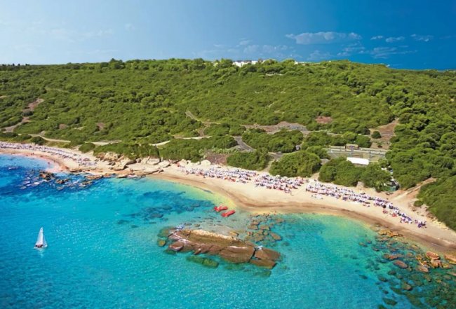 Spiaggia con mare cristallino e vegetazione verde.