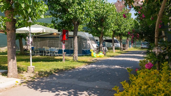 Area campeggio con tende e alberi.