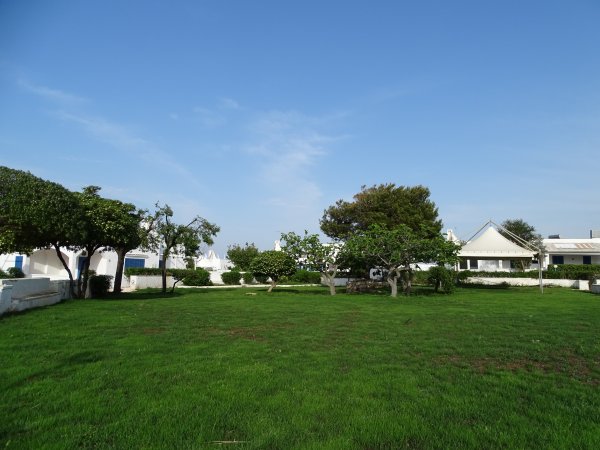 Prato verde con alberi e cielo sereno.