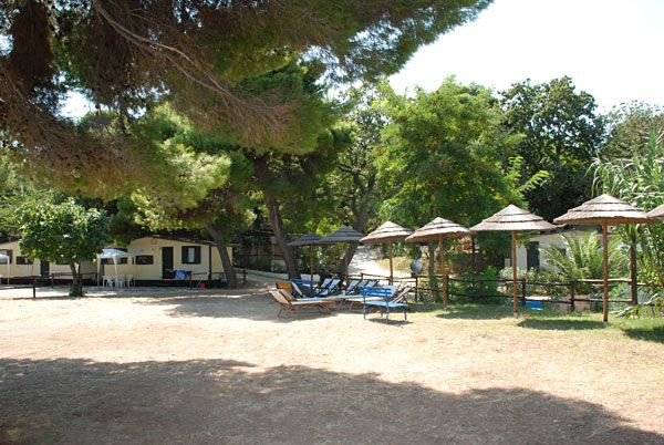 Un'area con sedie a sdraio e ombrelloni in un ambiente naturale.