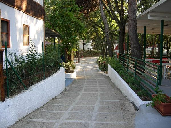 Sentiero in pietra tra alberi e strutture.
