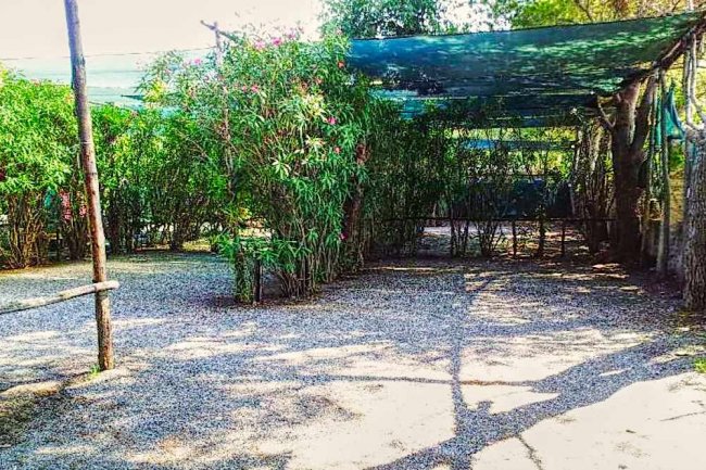 International Camping Village (CS) Calabria