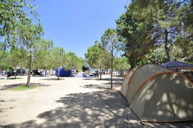 Area campeggio con tende tra alberi.