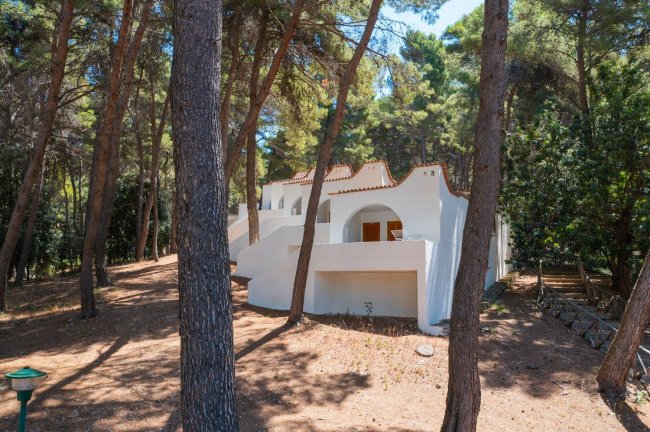 Case bianche tra alberi in un bosco.