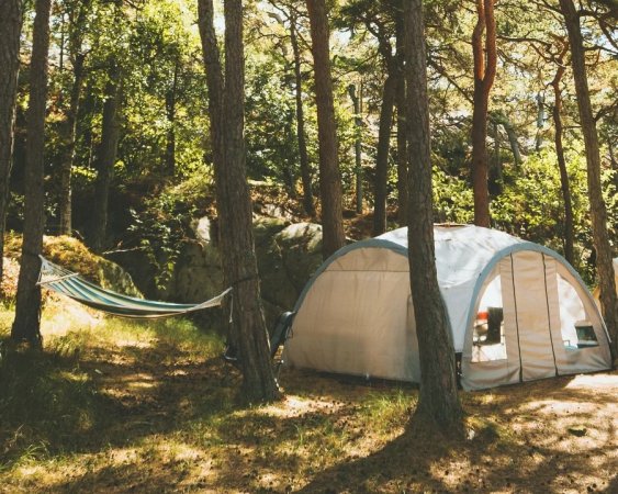 Tenda e amaca in un bosco.