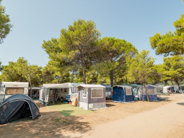 Area campeggio con tende e alberi verdi.