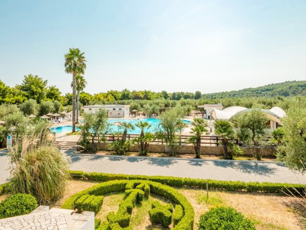 Vista di una piscina e giardino ornato.