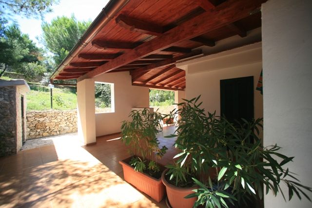 Portico con piante in vaso e tetto in legno.