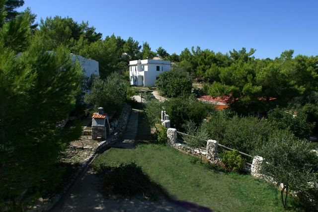 Casa bianca tra alberi verdi.