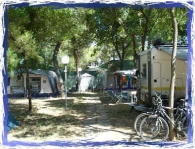 Campeggi con roulotte e biciclette parcheggiate sotto alberi ombrosi.