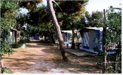 Camping Golden Garden (LT) Lazio