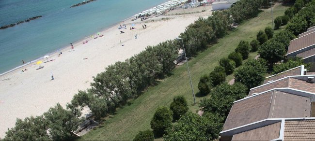 Spiaggia sabbiosa con mare blu e alberi vicino ad edifici.