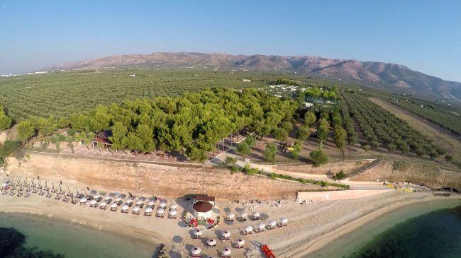 Spiaggia con ombrelloni, pineta e campi coltivati sullo sfondo.