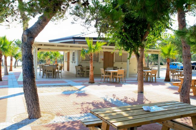 Un'area esterna con tavoli di legno sotto gli alberi.