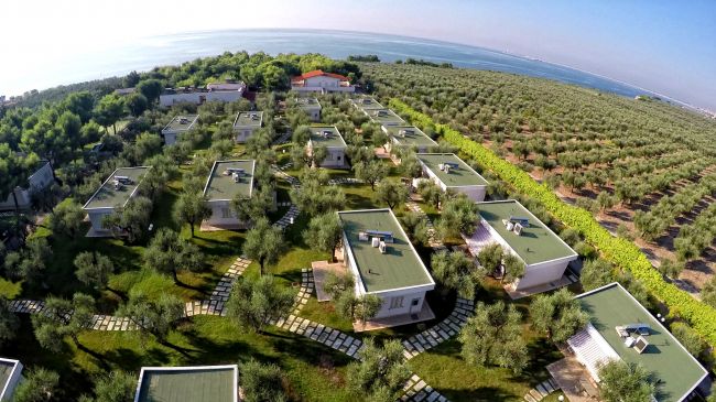 Villaggio di bungalow immerso tra ulivi e vicino al mare.