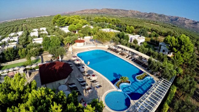 Vista aerea di una piscina circondata da alberi e colline.