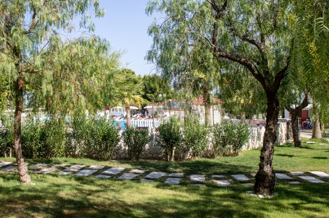 Giardino con alberi e vialetto in pietra.