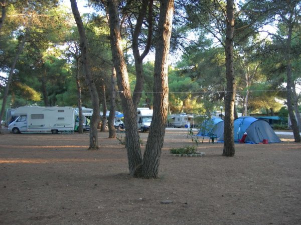 Area camping con camper e tende tra gli alberi.