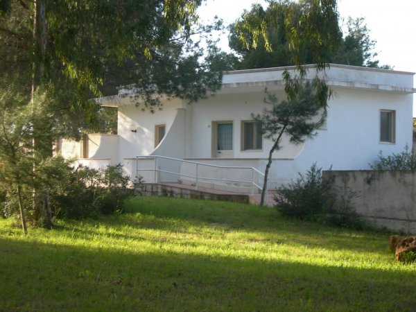 Villa bianca tra gli alberi.