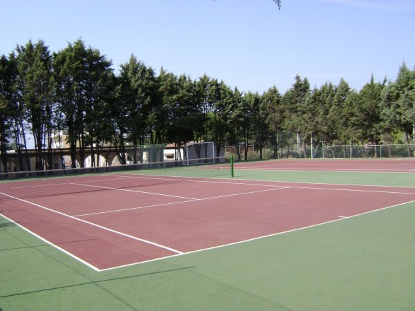 Campo da tennis con alberi intorno.