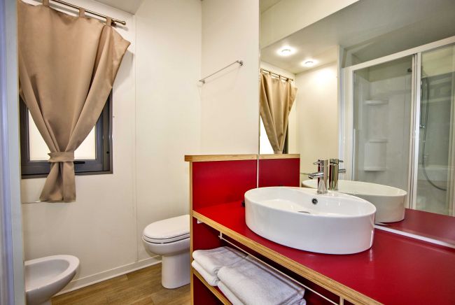Bagno con lavabo bianco e doccia.