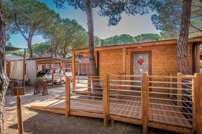 Struttura in legno con rampa d'accesso tra gli alberi.