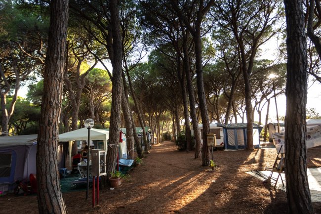 Camping Village Il Sole (GR) Toscana
