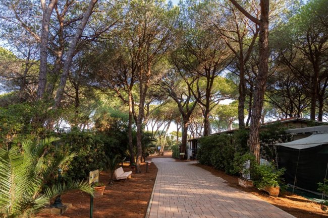 Camping Village Il Sole (GR) Toscana
