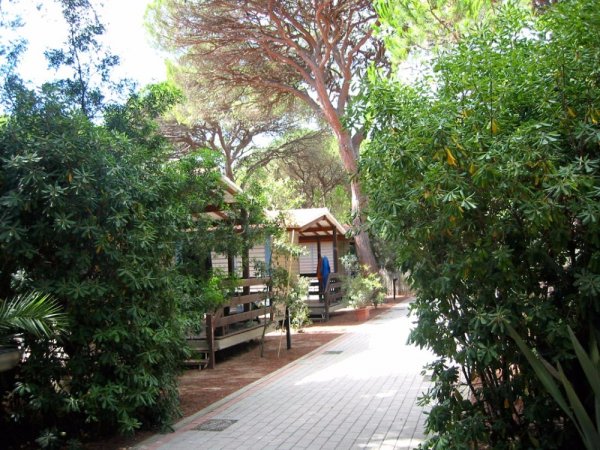 Camping Village Il Sole (GR) Toscana