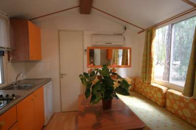 Interno di una cucina con mobili arancioni, tavolo in legno e pianta decorativa.