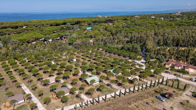 Area con bungalow e alberi vicino al mare.