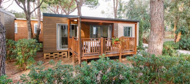 Bungalow in legno con veranda tra gli alberi.