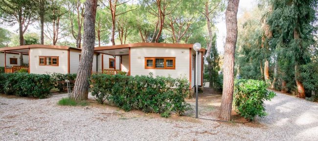 Case mobili bianche tra alberi e siepi.