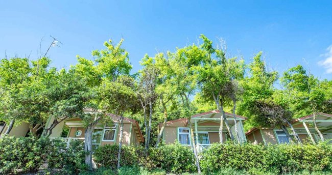 Ripari Di Giobbe Camping Village (CH) Abruzzo