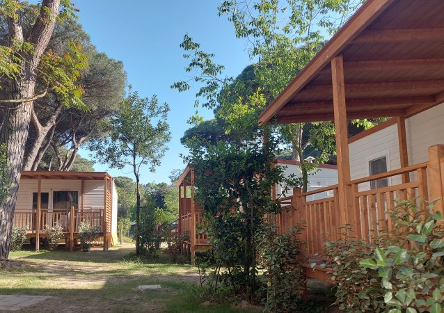 Bungalow di legno circondati da alberi verdi.
