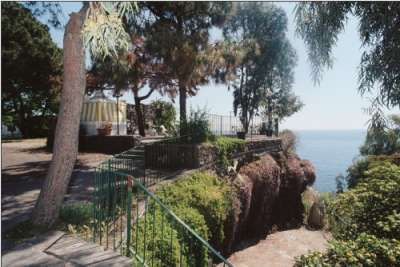 Sentiero alberato su una scogliera con vista sul mare.