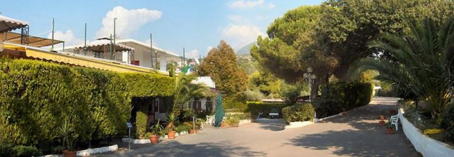 Vialetto alberato in un giardino con edifici bassi sulla sinistra.
