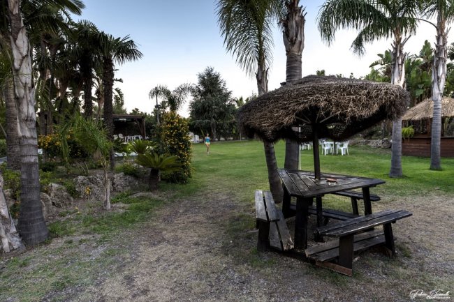 Giardino con tavolo in legno e palme.