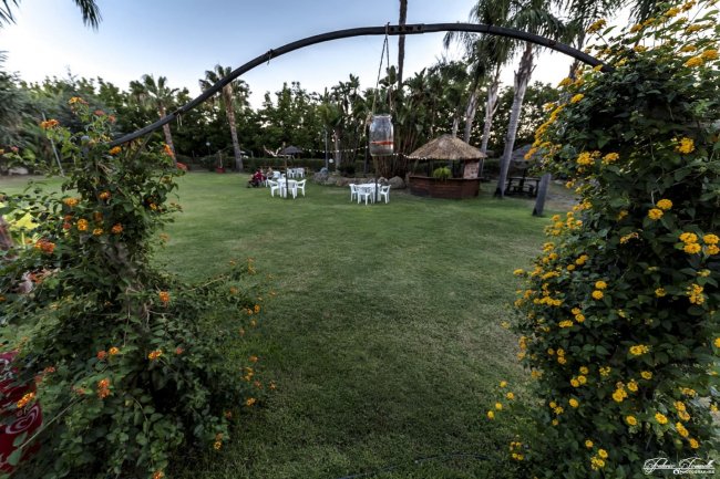 Spazio verde con sedie bianche e pergolato.