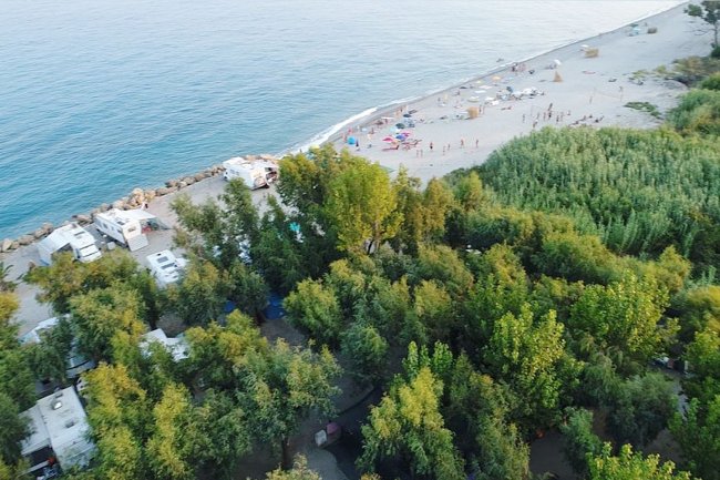 Spiaggia con alberi e camper vicino all'acqua.