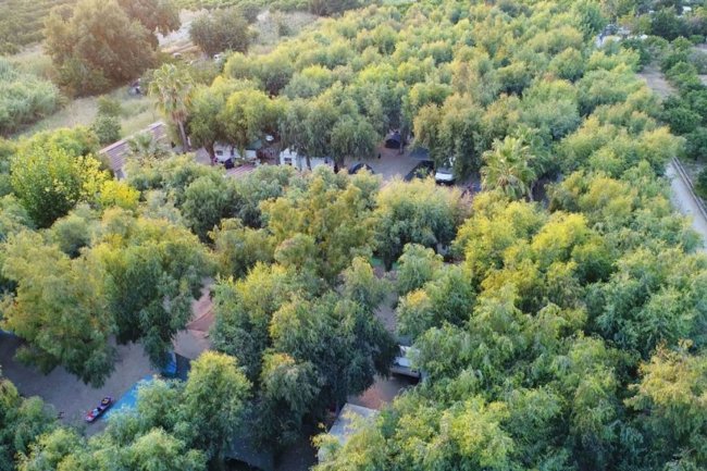 Area ombreggiata da alberi fitti.