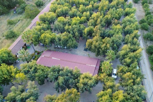 Costruzione con tetto rosso tra alberi fitti.