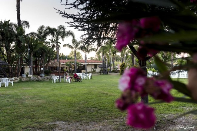 Giardino con palme, sedie bianche e fiori in primo piano.