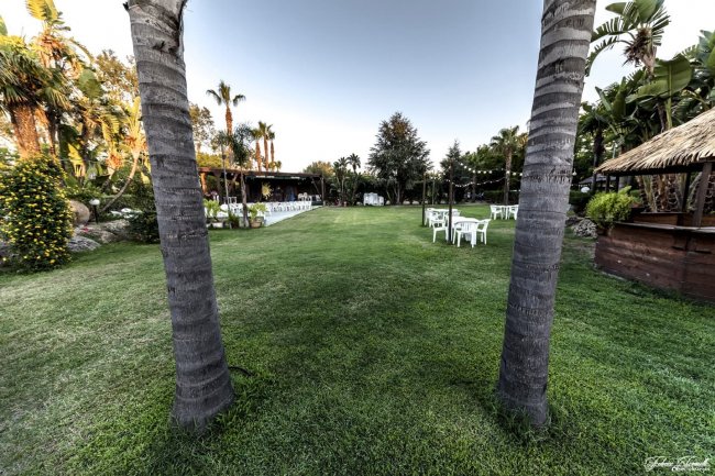 Ampio prato verde tra due tronchi di palma, sedie e gazebo in fondo.