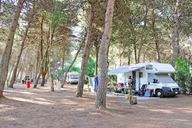 Camper parcheggiati sotto alberi in campeggio.