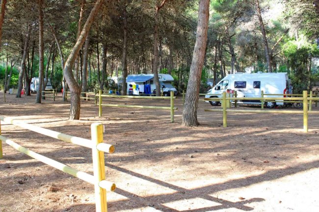 Area campeggio con camper tra alberi.